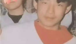 汪小菲女儿爆料视频播放,揭秘家庭背后故事