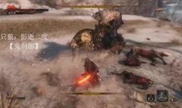 杀被狼2粤语在线观看,惊悚升级，狼性再现！