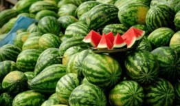 免费吃网红瓜网站推荐,免费吃网红瓜网站带你畅游娱乐圈